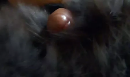 Arschfick sex clips frei großer Schwanz